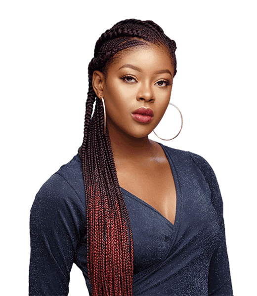 Darling Super Soft (Summer Colours) Braids hair extension