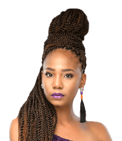 Darling Senegal Twist Crochet hair extension